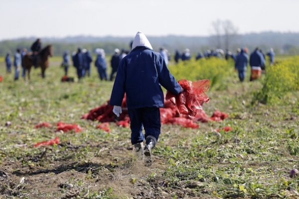 USA : Inmates Launch Series of Work Stoppages to Protest Slave Labor